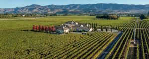 Vineyard with large single story home with trees and mountains in the background